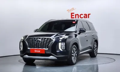 Hyundai Palisade · 2019 год