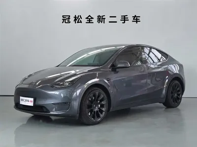 Tesla Model Y · 2021 год