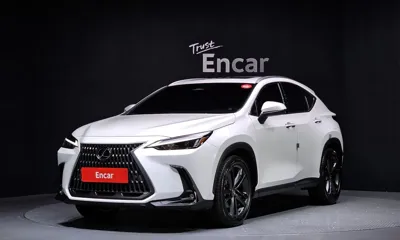 Lexus NX · 2025 год