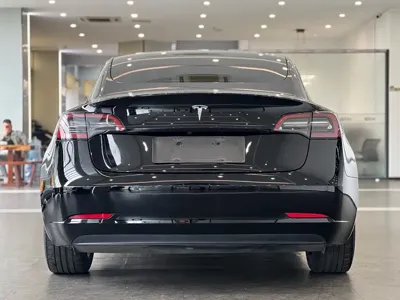 Tesla Model 3 2021, 70000 км, за 103800 CNY - фото 5