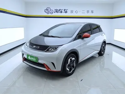 BYD Dolphin 2023, 23300 км, за 58000 CNY - фото 1