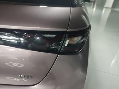 BYD Dolphin 2024, 38700 км, за 61200 CNY - фото 8