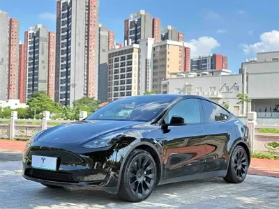 Tesla Model Y · 2022 год