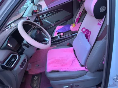 Baojun RS-5 2019, 109900 км, за 39967.72 CNY - фото 16