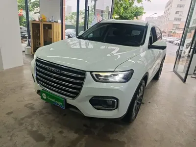 Haval H6 · 2019 год