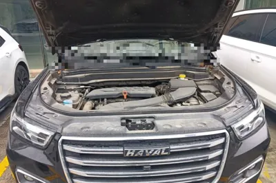 Haval H6 2019, 95200 км, за 46464.12 CNY - фото 17
