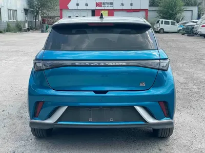 BYD Dolphin 2022, 38000 км, за 58000 CNY - фото 4