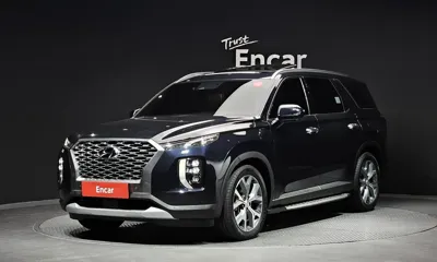 Hyundai Palisade · 2019 год