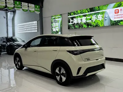 BYD Dolphin 2023, 50000 км, за 61800 CNY - фото 15