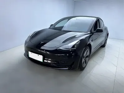 Tesla Model 3 · 2021 год