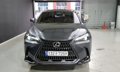 Lexus NX · 2024 год