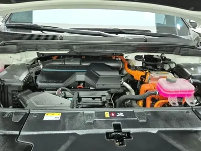 Kia Canival 2025, 14633 км, за 42500000 KRW - фото 6