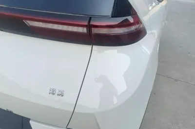 BYD Seagull 2025, 100 км, за 72982.47 CNY - фото 9