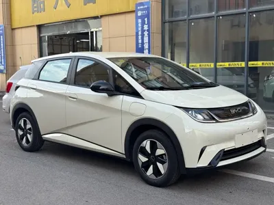 BYD Dolphin · 2026 год