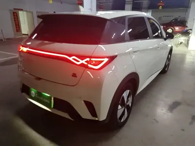 BYD Dolphin 2023, 29200 км, за 58099 CNY - фото 7
