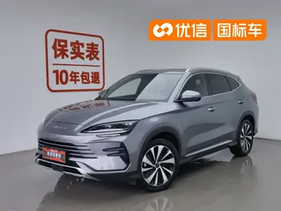 BYD PLUS New Energy · 2023 год