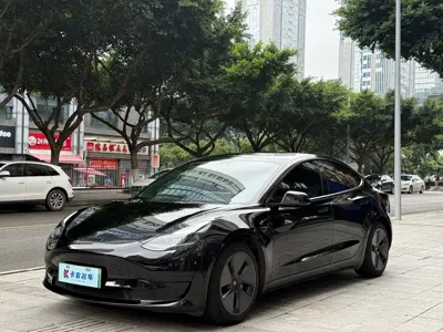 Tesla Model 3 · 2021 год