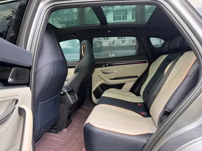 BYD PLUS New Energy 2021, 38000 км, за 71800 CNY - фото 11