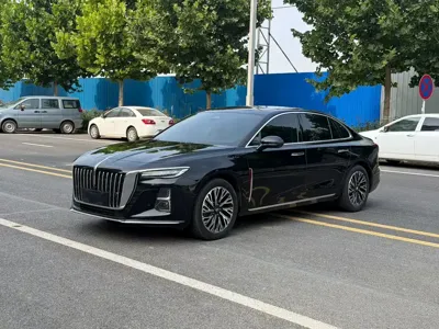 Hongqi Hongqi H5 · 2024 год