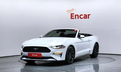 Ford Mustang · 2019 год