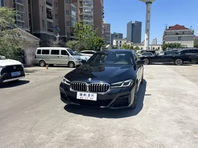BMW 5 Series · 2021 год