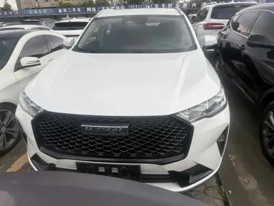 Haval H6 2020, 38000 км, за 41200 CNY - фото 2