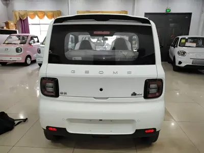 Galaxy Panda 2026, 100 км, за 39900 CNY - фото 6