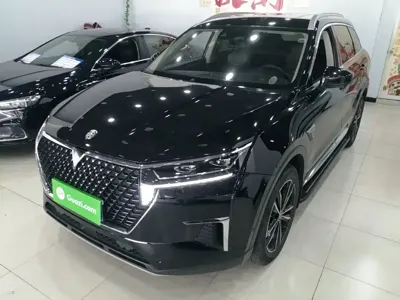 Venucia Star · 2021 год