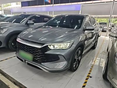 BYD Pro New Energy · 2024 год