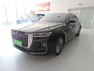 Hongqi Hongqi H9 · 2023 год