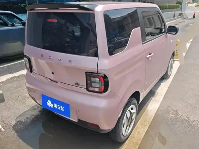 Galaxy Panda 2025, 16200 км, за 29000 CNY - фото 3
