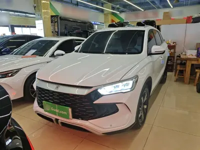 BYD Pro New Energy · 2024 год