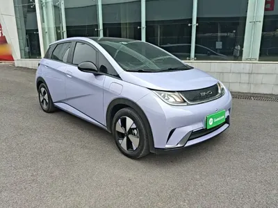 BYD Dolphin 2023, 76500 км, за 60400 CNY - фото 23