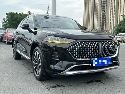 WEY Wey Mocha 2022, 40000 км, за 68800 CNY