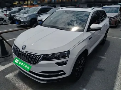 Skoda Karoq · 2019 год