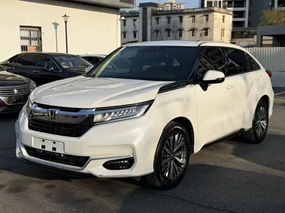 Honda Avancier · 2020 год