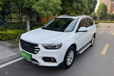 Haval H6 2019, 47100 км, за 48755.04 CNY - фото 14