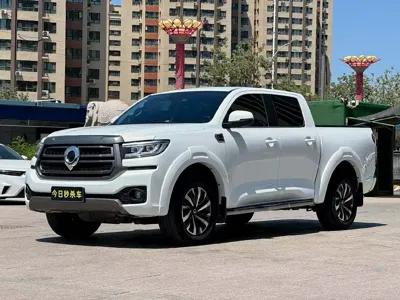 Great Wall Pao · 2024 год