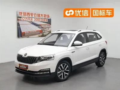 Skoda Kamiq · 2019 год