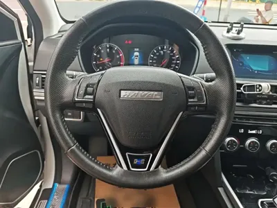 Haval H6 2018, 84000 км, за 29000 CNY - фото 11