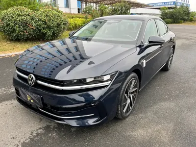 Volkswagen Magotan · 2024 год