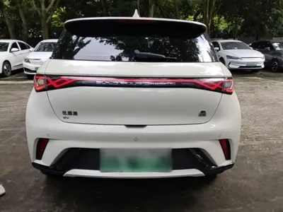 BYD Dolphin 2023, 68800 км, за 59300 CNY - фото 6