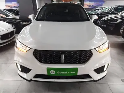 WEY Wey VV5 2020, 37100 км, за 44600 CNY