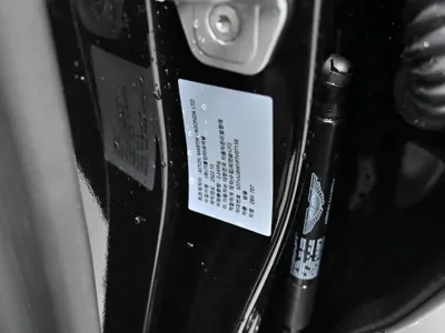 Astonmartin DBX 2023, 13783 км, за 235000000 KRW - фото 20