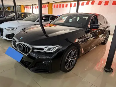 BMW 5 Series New Energy · 2023 год