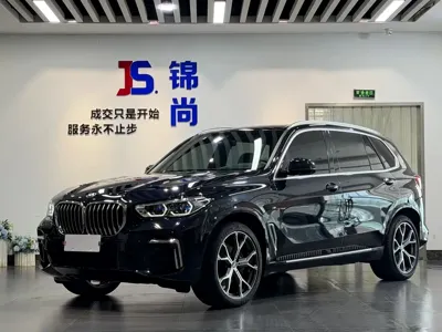 BMW X5 · 2023 год