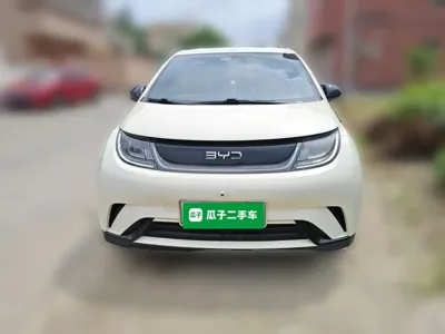 BYD Dolphin 2024, 89100 км, за 60400 CNY