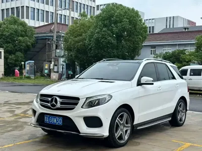 Mercedes-Benz 奔驰GLE(进口) · 2017 год