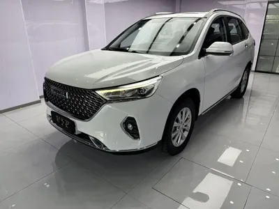 Haval M6 · 2022 год