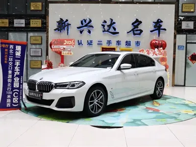 BMW 5 Series · 2021 год